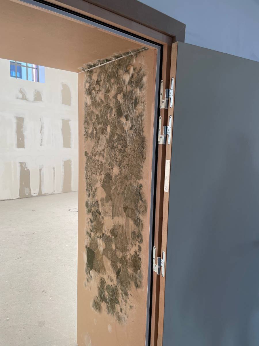 Service de ramassage des encombrants à Obernai (67) avec mise en déchetterie