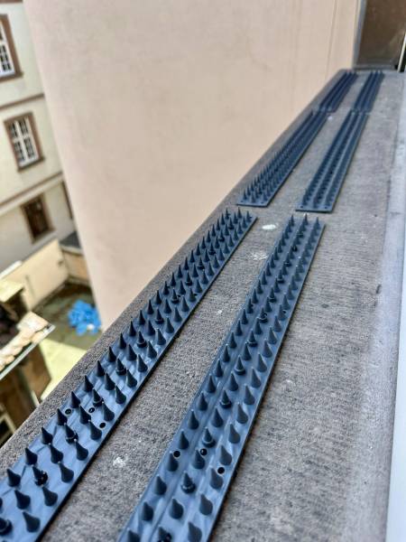 Dispositif anti-pigeons, installé par CB Services 