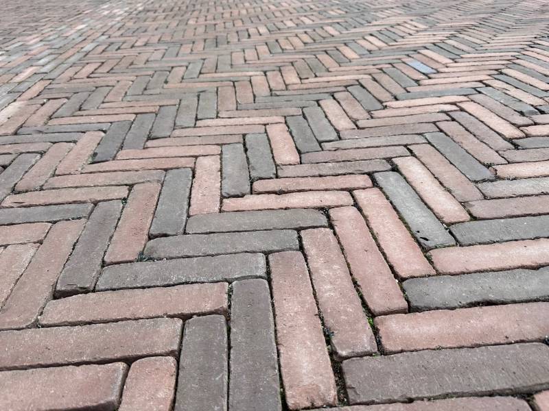 Désherbage d'un parvis d'une institution européenne à Strasbourg