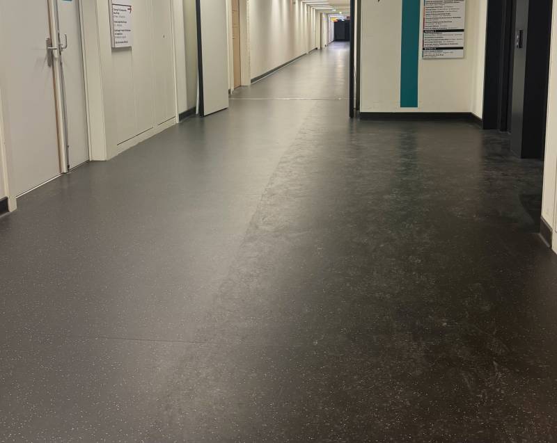 Entretien des parties communes de la Maison Médicale des Deux Rives à Strasbourg : décapage des solsu