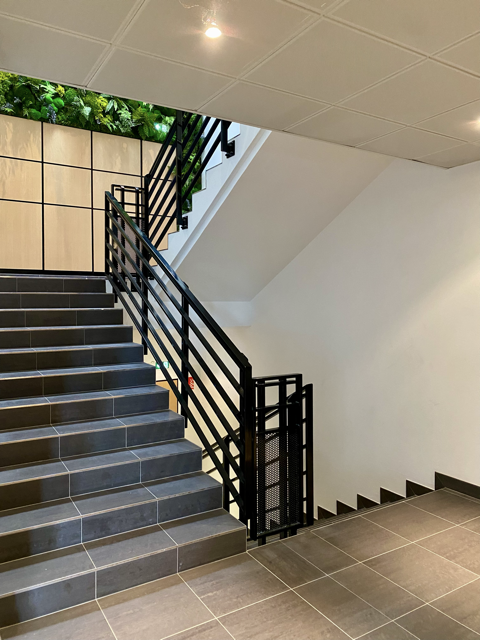 Remise en état de locaux professionnels à Entzheim.