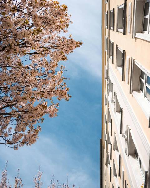 Nettoyage de printemps : le moment idéal pour mettre vos locaux à neuf