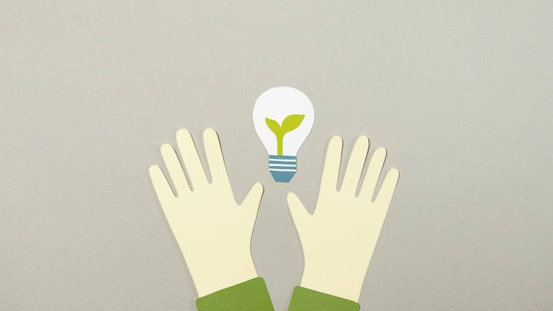 Opter pour un entretien écologique aux produits bios à Strasbourg